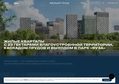 Снимок главной страницы belyigrad.ru