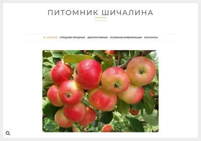 Снимок главной страницы 38sad.ru
