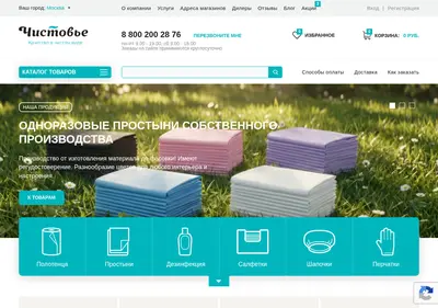 Снимок главной страницы chistovie.ru
