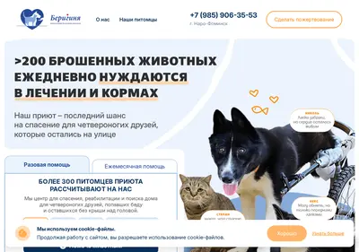 Снимок главной страницы beriginya-bf.ru