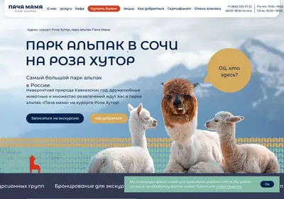 Снимок главной страницы alpakasochi.ru