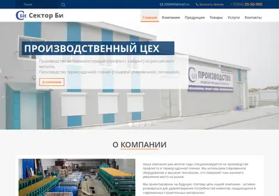 Снимок главной страницы 2050900.ru