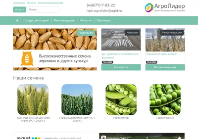 Снимок главной страницы agld.ru