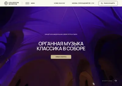 Снимок главной страницы collegiummusicum.ru