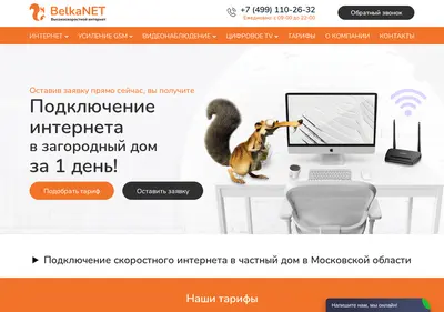 Снимок главной страницы belkanet.ru