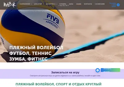 Снимок главной страницы bigbeach.ru