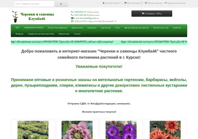 Снимок главной страницы cherenki-hrizantem.ru