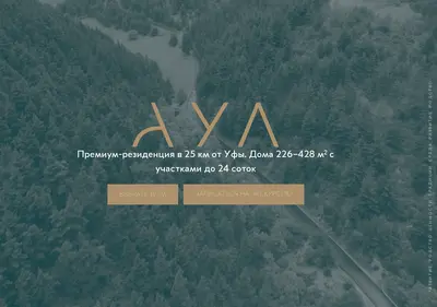 Снимок главной страницы aoolspace.ru