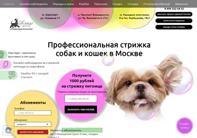 Снимок главной страницы archibald-salon.ru