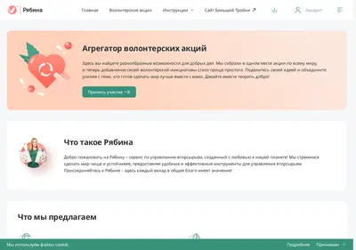 Снимок главной страницы re-bin.ru