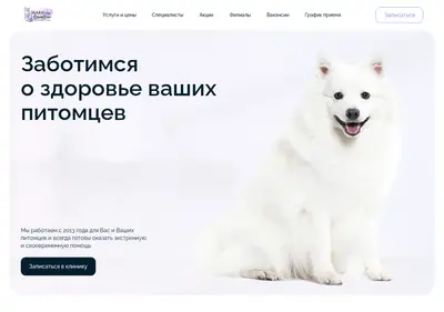 Снимок главной страницы beautyvet.ru