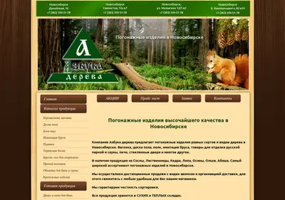Снимок главной страницы angcocna.ru