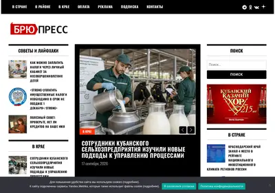Снимок главной страницы brupress.ru