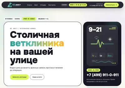Снимок главной страницы ai-xvost.ru