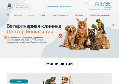Снимок главной страницы boni-vet.ru