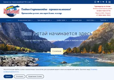 Снимок главной страницы altayturmarket.ru