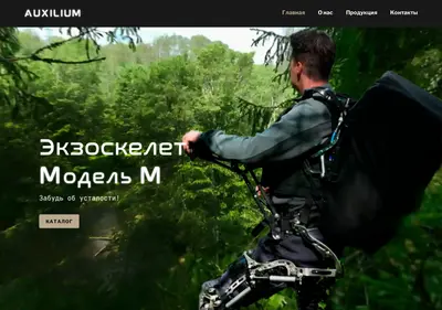 Снимок главной страницы auxexo.ru