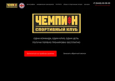 Снимок главной страницы champion72.ru