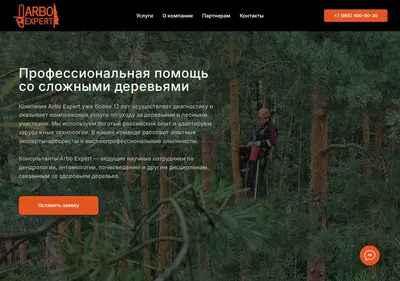 Снимок главной страницы arboexpert.ru