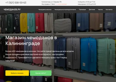 Снимок главной страницы chemodan39.ru