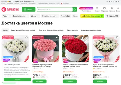 Снимок главной страницы azalianow.ru