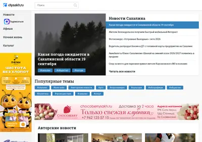 Снимок главной страницы citysakh.ru
