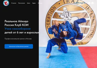 Снимок главной страницы aikidokoi.ru