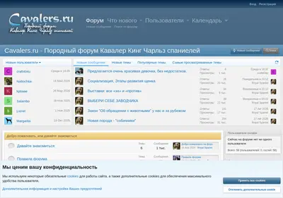 Снимок главной страницы cavalers.ru
