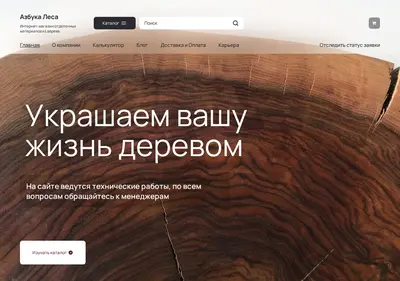 Снимок главной страницы as-lesa.ru