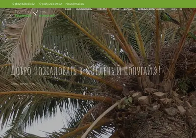 Снимок главной страницы birdhospital.ru