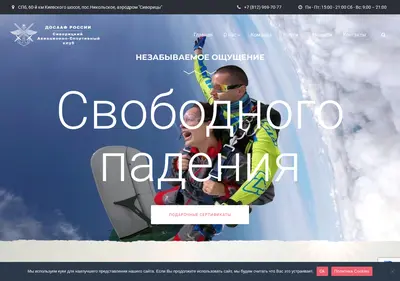 Снимок главной страницы dosaafaero.su