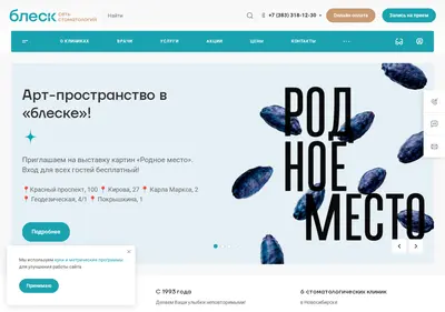 Снимок главной страницы bleskstom.ru