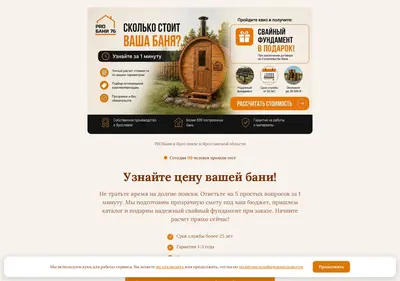 Снимок главной страницы 76probani.ru