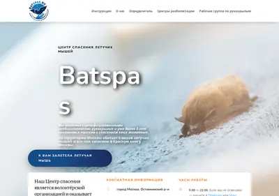 Снимок главной страницы batspas.ru