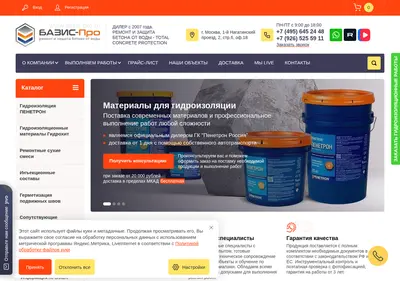 Снимок главной страницы basis-pro.ru