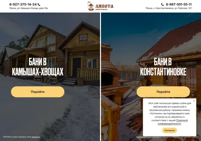Снимок главной страницы banilyapota.ru