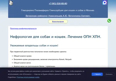 Снимок главной страницы belkavet.ru