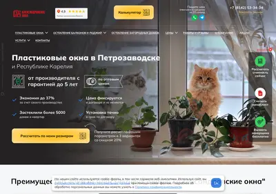 Снимок главной страницы alexokna10.ru