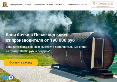Снимок главной страницы bobrbani.ru