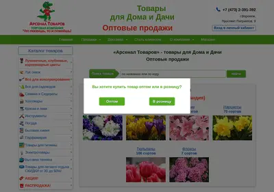 Снимок главной страницы arsenaltovarov.ru