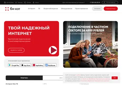 Снимок главной страницы bi-net.ru