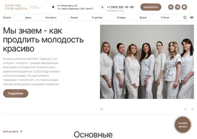 Снимок главной страницы alleya-nsk.ru