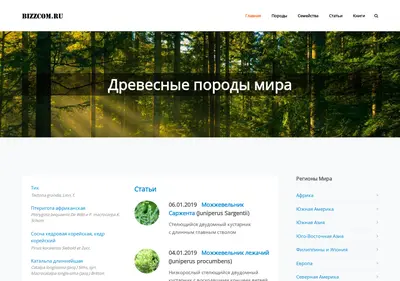 Снимок главной страницы bizzcom.ru