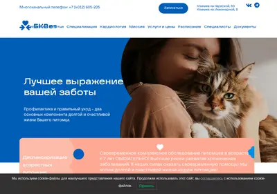 Снимок главной страницы bkvet39.ru