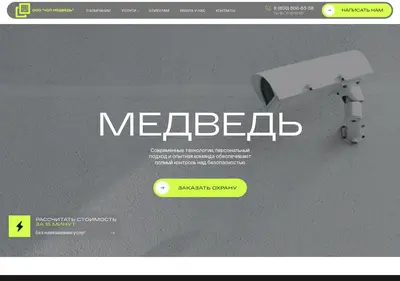 Снимок главной страницы chopmedved.ru