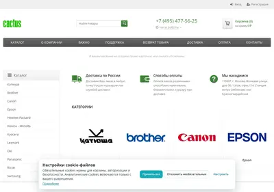 Снимок главной страницы cactusshop.ru