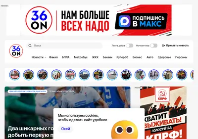 Снимок главной страницы 36on.ru