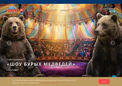 Снимок главной страницы circus-avtovo.ru