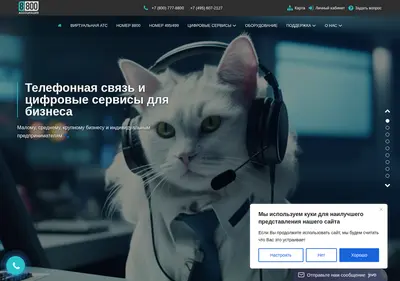 Снимок главной страницы 8-800.su