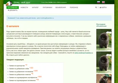 Снимок главной страницы spitz.su